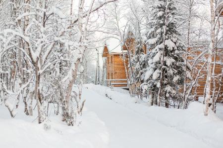 Arctic Home - 1