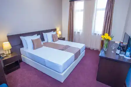 Ani Central Inn - 34