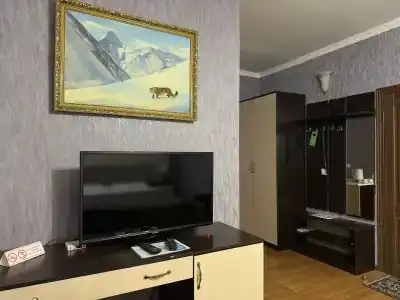Пульсар - 38