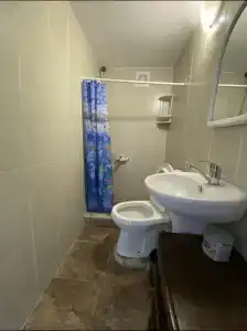 Флора - 14