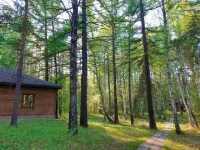 Лапландия - 5
