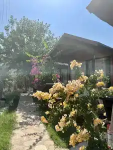 Marimare Beach & Bungalow - 8