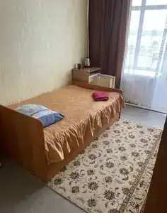 Сомон - 1