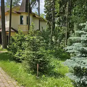 Зеленый пейзаж - 18
