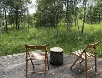 Звездный лес - 118