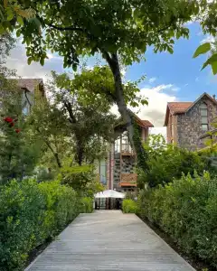 Dilijani Tun & Restaurant - 1