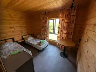 Василёк - 6