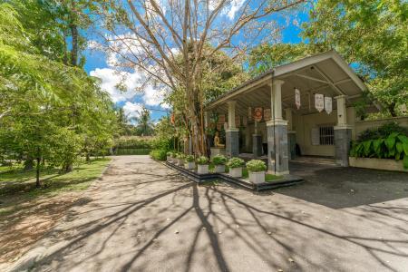 Siddhalepa Ayurveda Resort - All Meals, Ayurveda Treatment and Yoga - 2