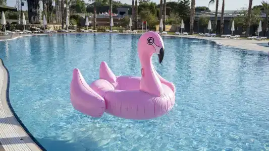 Amons Belek - Adult Only - 16