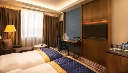 Radisson Blu - 17