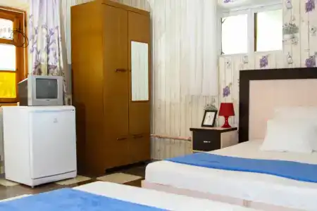 У Аллы и Левы - 20