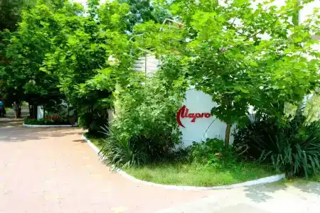 Марго - 0