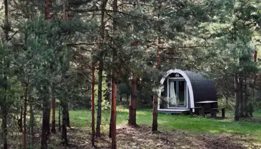 Грибная Находка - 0