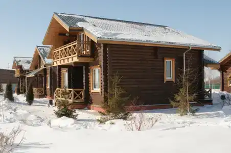 Подсолнух - 50