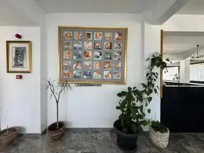 Bellapais Oasis - 11