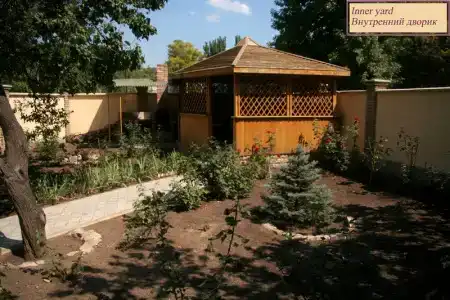 Подсолнухи - 1