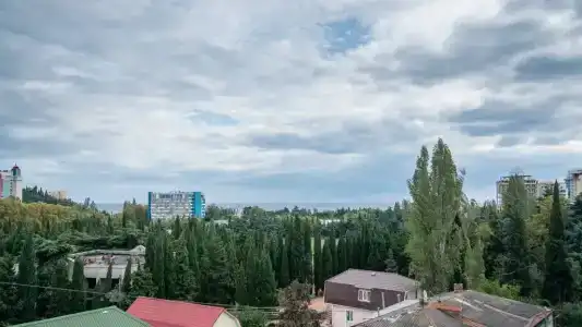 Витекс - 8