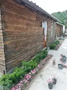 Lime Tree Houses - 19