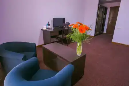 Ani Central Inn - 10