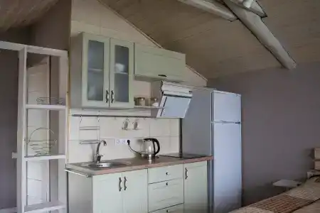 Боровики - 21