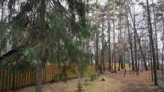 Слобода - 42
