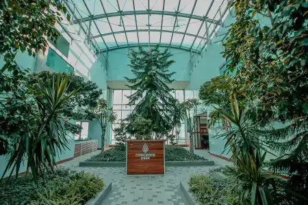 Бутик-Badam d'Art - 6