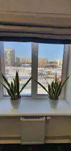 Звездный - 23
