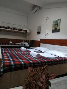 Hostel Portal - 14