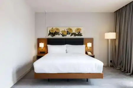 Hilton Garden Inn Tbilisi Chavchavadze - 13