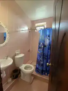 Флора - 13