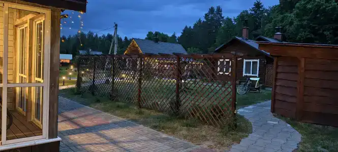Магия леса в Беловежской пуще - 112