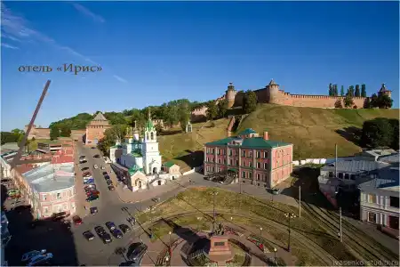 Ирис - 14