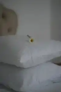 Шато Гага - 107