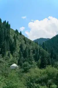 Pana Ayusai - 10