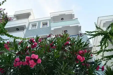 Sunpoint Family - 22