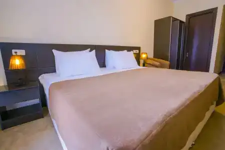 Ani Central Inn - 19