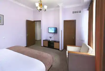 Ani Central Inn - 74