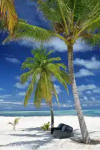 Rahaa Resort - 32