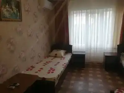 Виолетта - 16