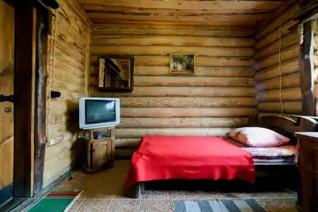 Медведь - 100