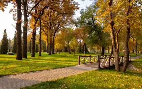 Swissôtel Wellness Resort Alatau Almaty - 8