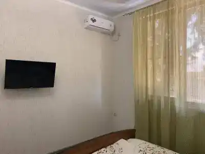 Гранат - 2