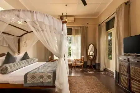Castle Hill Bungalow - 15