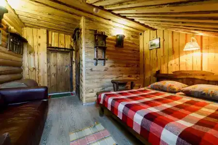 Медведь - 117