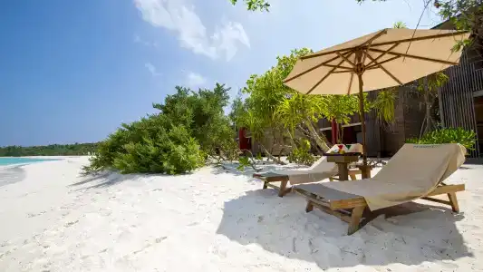 The Barefoot Eco - 8
