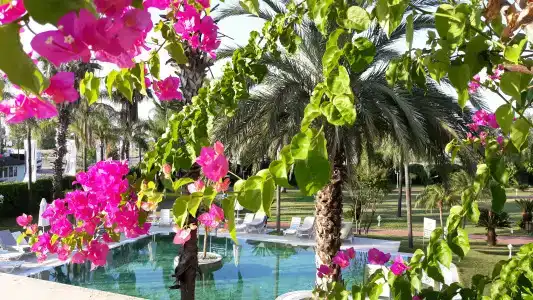 Presa Di Finica & Suites - 26