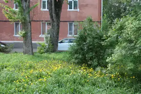 Квартира на Пряженникова 61 - 17