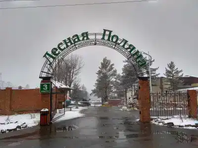 Лесная поляна - 3