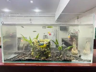 Abu Arena Arena Hall - 47