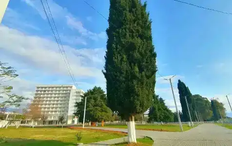 Апсны - 24
